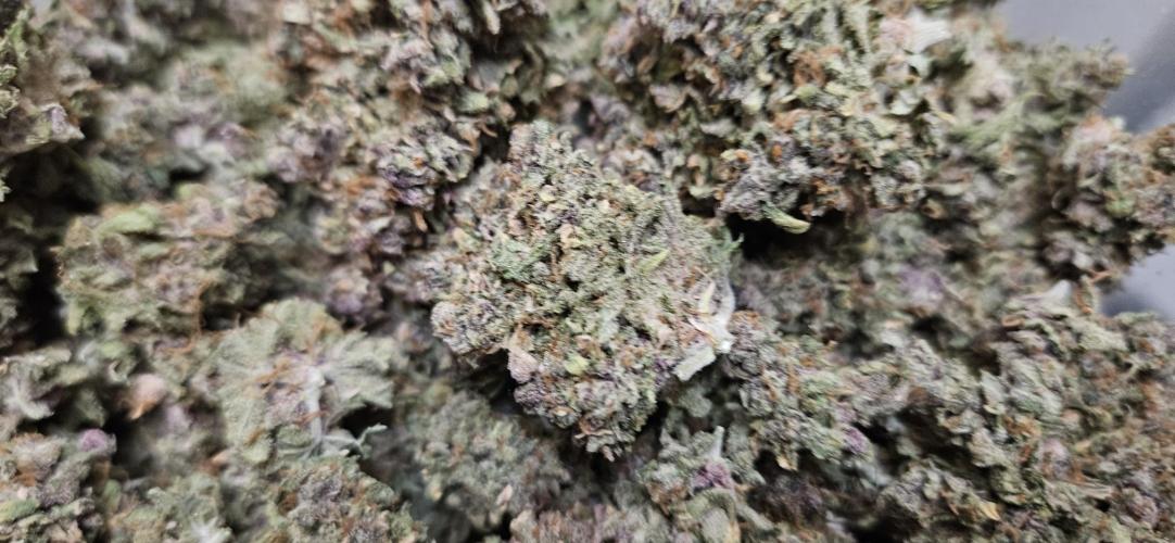 Fastbuds/Mephisto mix 2025. Week 15