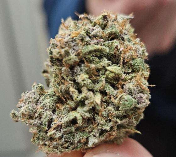 Fastbuds/Mephisto mix 2025. Week 15