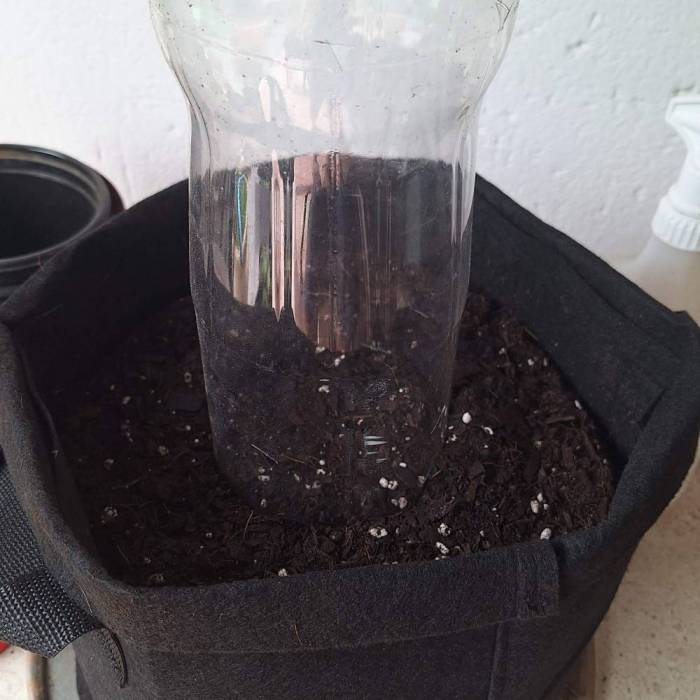 Gorilla Glue Auto Outdoor. Week 0