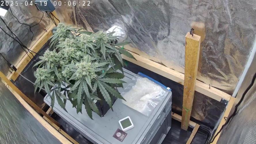 Ultra G13 #2 recirculating Rockwool Test