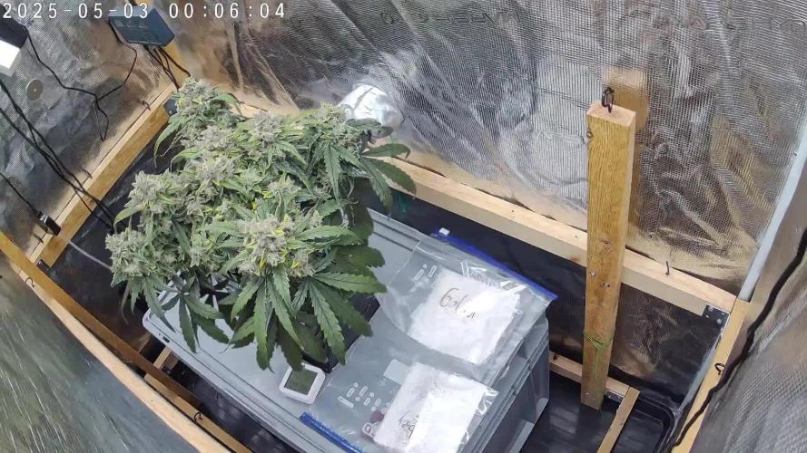 Ultra G13 #2 recirculating Rockwool Test