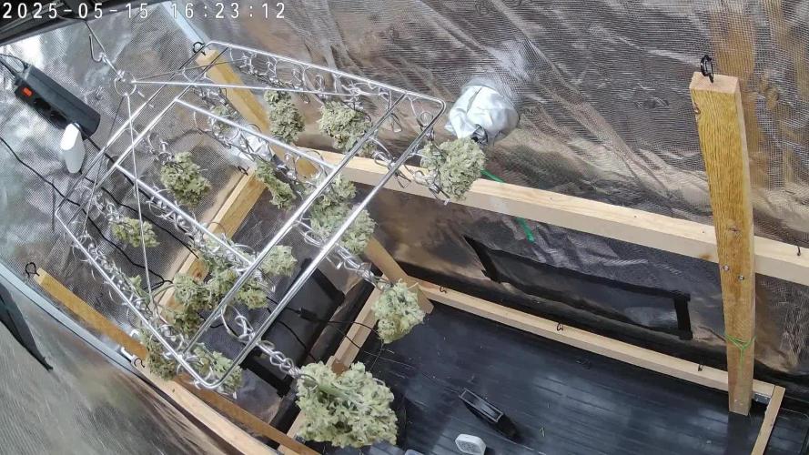 Ultra G13 #2 recirculating Rockwool Test