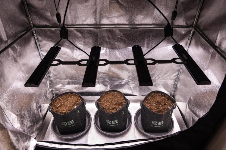 Gaia F1 - Farm #20. Week 0 - Two Gaia and one Atlas in their new home