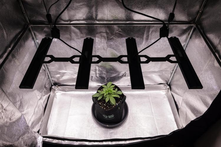 Atlas F1 - Farm #20. Week 1 - Atlas F1 - Day 7.