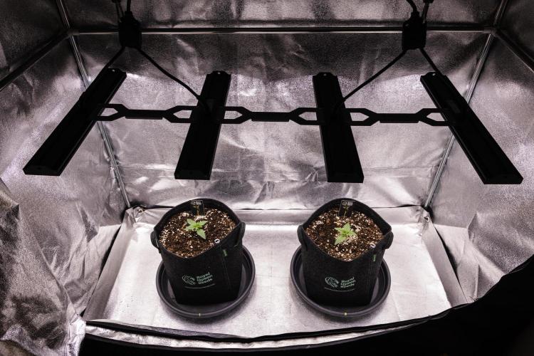 Gaia F1 - Farm #20. Week 1 - Gaia F1 - Day 1.