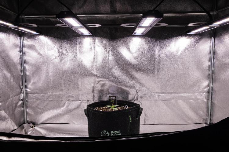 Gaia F1 - Farm #20. Week 1 - Gaia F1 - Day 1.