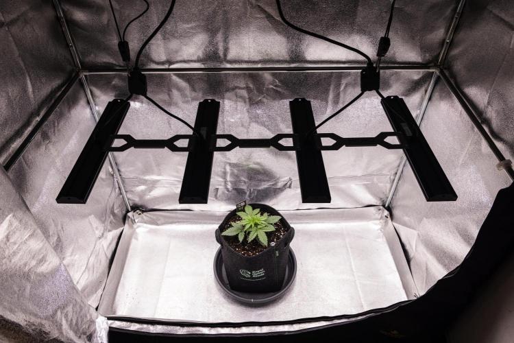 Gaia F1 - Farm #20. Week 1 - Gaia F1 - Day 7.