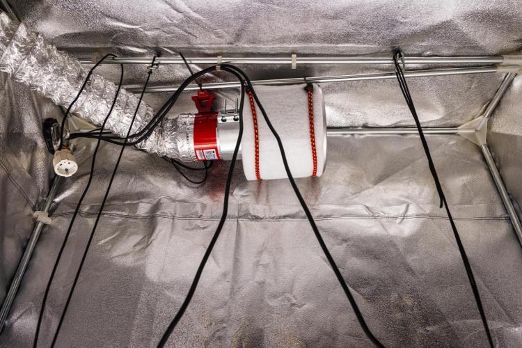 Wedding Cake - Farm #23. Week 0 - New ventilation. Rhino Ultra 125 and Rhino Pro 125