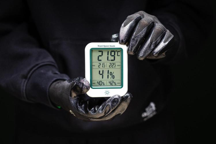 Wedding Cake - Farm #23. Week 0 - New RQS Thermometer