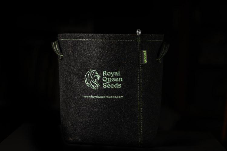 Grape Ape - Farm #23. Week 0 - RQS Fabric pot