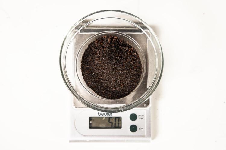 Grape Ape - Farm #23. Week 0 - Startrex - 50 g. for 11 lit pot.
