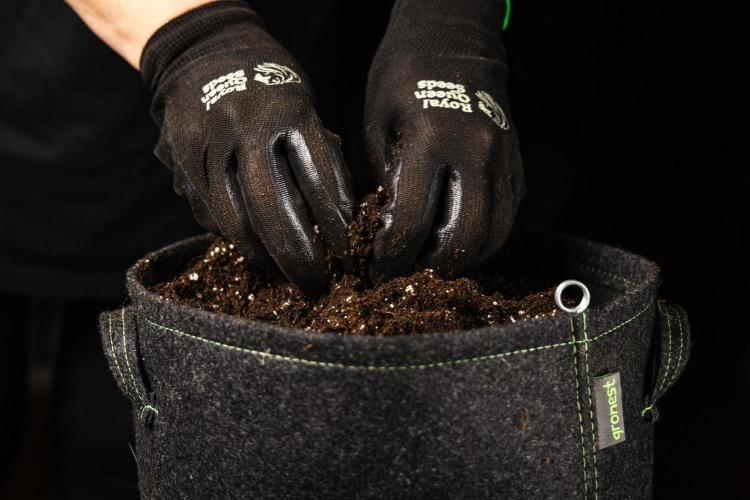 Grape Ape - Farm #23. Week 0 - Fill the pot with soil to the top.