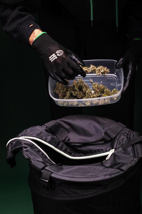 Apple Fritter - Farm #22. Week 10 - RQS Trim bag