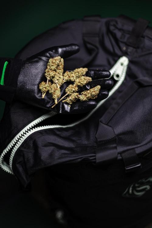 Apple Fritter - Farm #22. Week 10 - RQS Trim bag