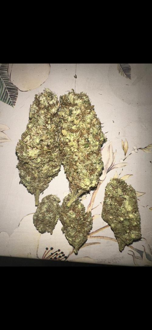 Kannabias new release zoap rose🌹. Week 17