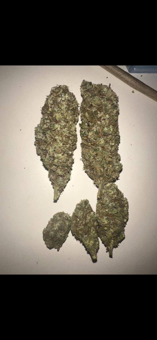 Kannabias new release zoap rose🌹. Week 17