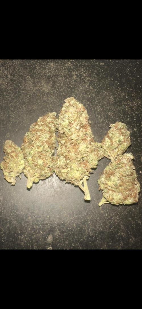 Kannabias new release zoap rose🌹. Week 17