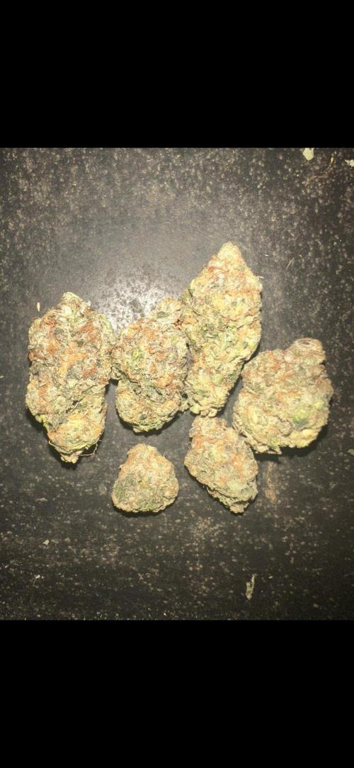 Sunset sherbert go fast. Week 11
