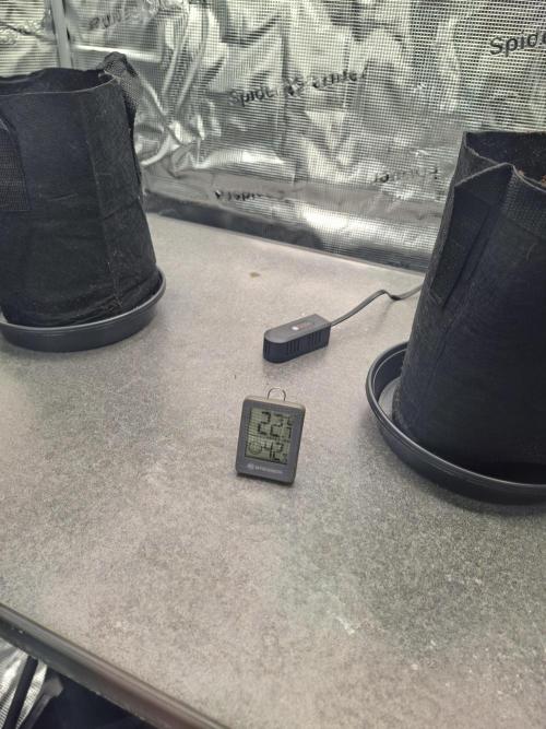 CaH - Steckis @ Coco @ Autopot. Week 2 - Test mit der Heizung