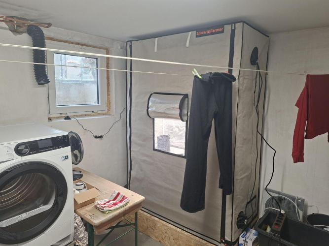 CaH - Steckis @ Coco @ Autopot. Week 2 - Neues Zelt und neuer Standort, Waschküche