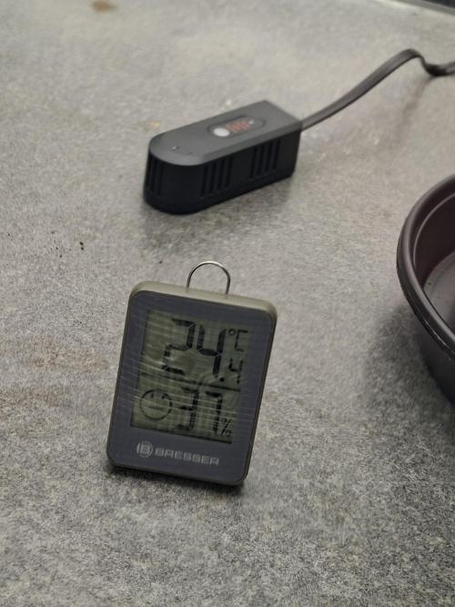 CaH - Steckis @ Coco @ Autopot. Week 2