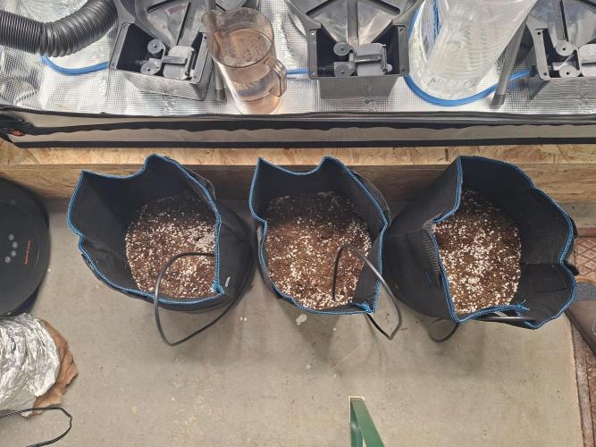 CaH - Steckis @ Coco @ Autopot. Week 4 - 29.12.2025