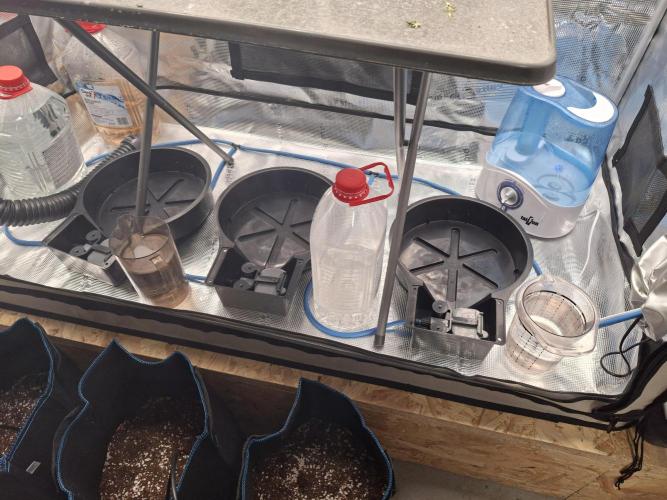 CaH - Steckis @ Coco @ Autopot. Week 4