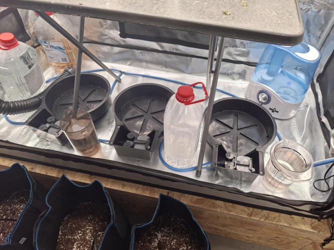 CaH - Steckis @ Coco @ Autopot. Week 4