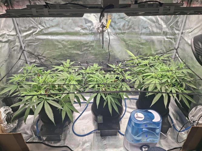 CaH - Steckis @ Coco @ Autopot. Week 6 - 11.01.2026