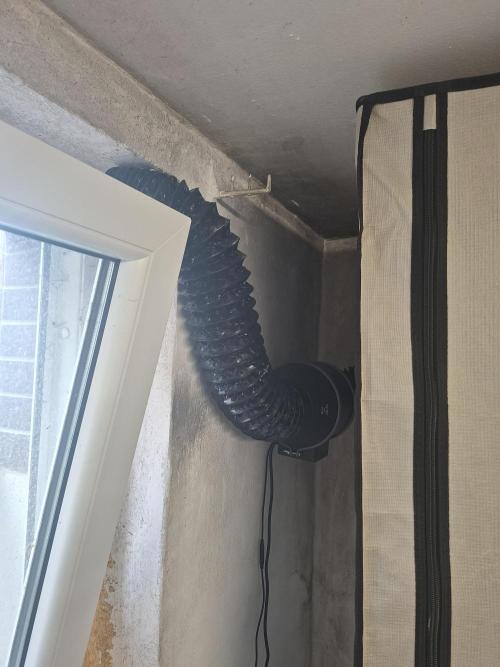 CaH - Steckis @ Coco @ Autopot. Week 10