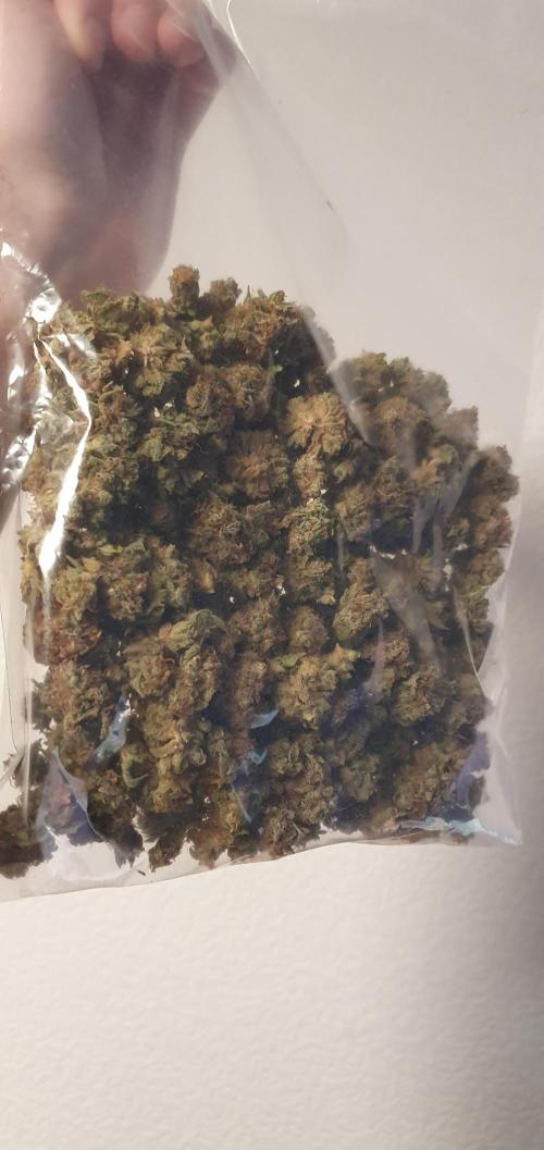 🍒First Growbox Grow Cherry Zoap Auto. Week 13 - its smells so good and looks so good