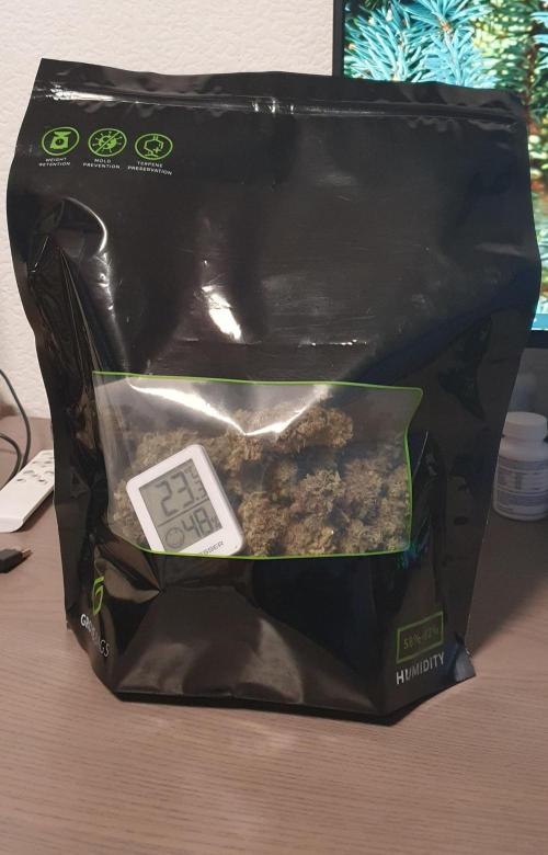 🍒First Growbox Grow Cherry Zoap Auto. Week 13