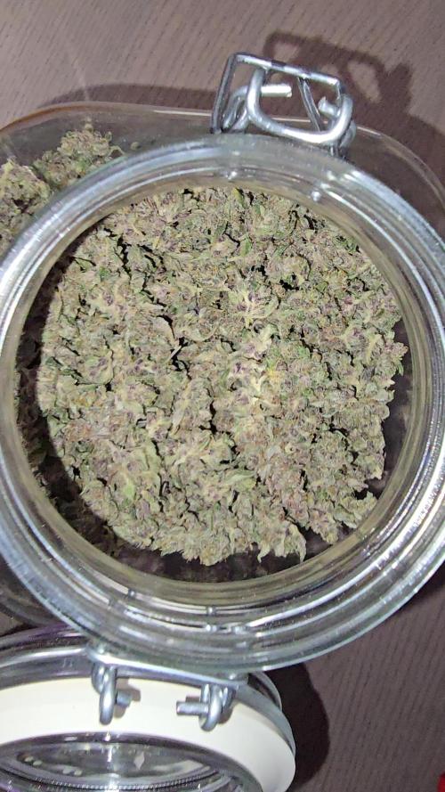 🍓RF3 Strawberry Gorilla🦍