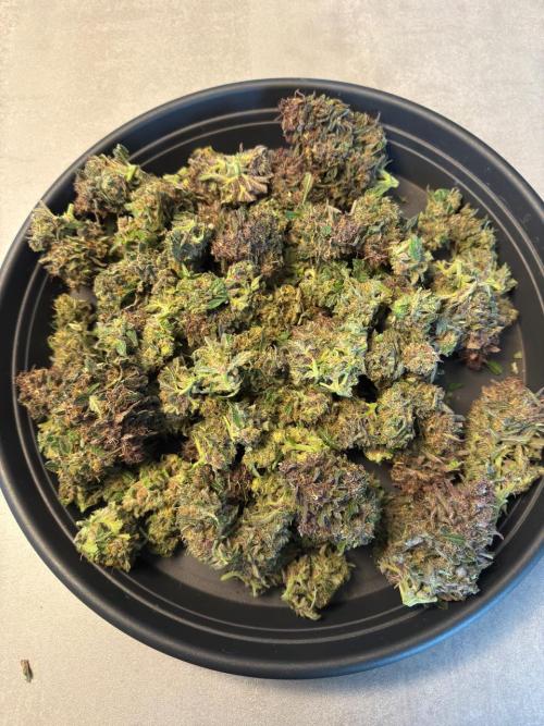 Cool Cookies. Week 12