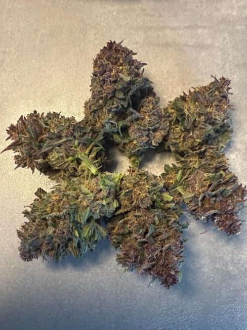 Cool Cookies. Week 12