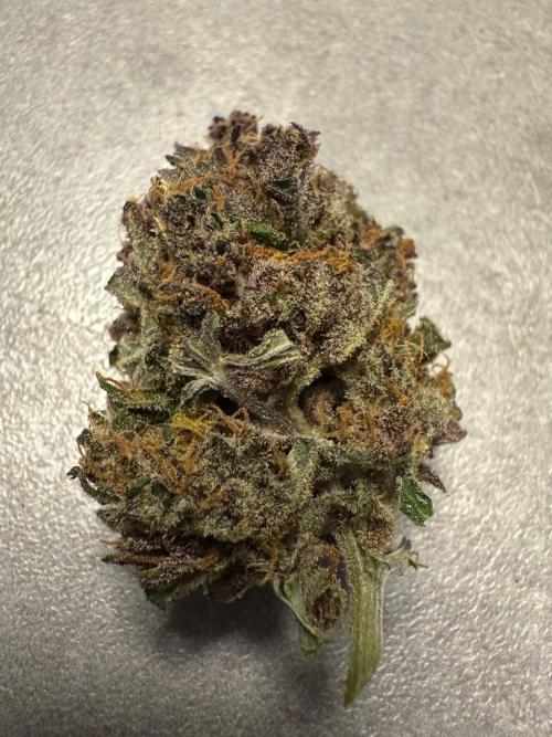 Cool Cookies. Week 12