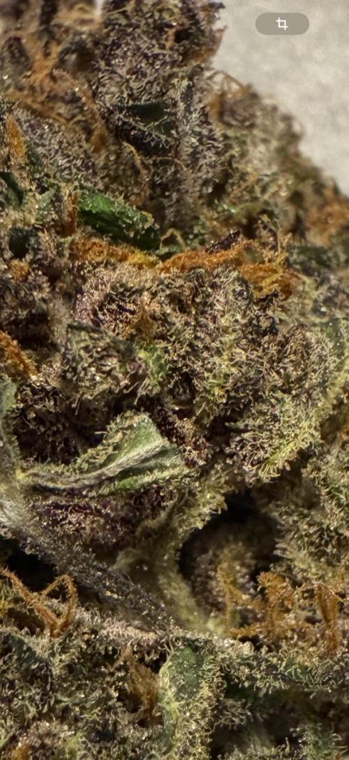 Cool Cookies. Week 12