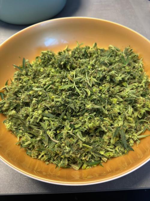 Strawberry Pie. Week 13