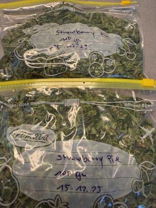 Strawberry Pie. Week 13