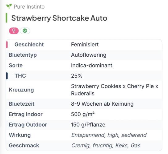 Strawberry Shortcake autoflower. Week 0