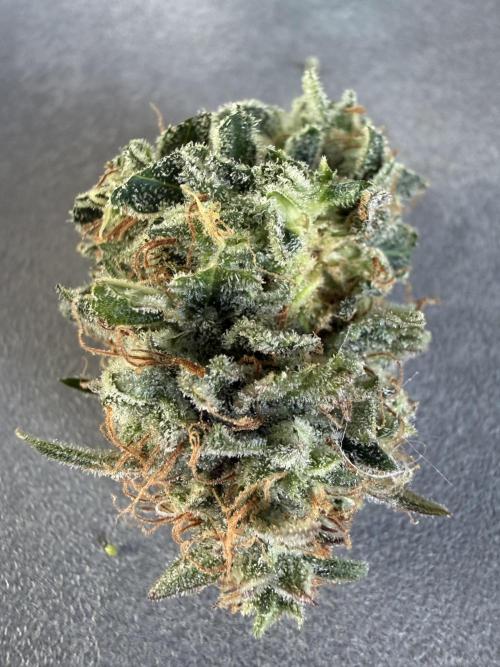 Cherry Kush. Week 11