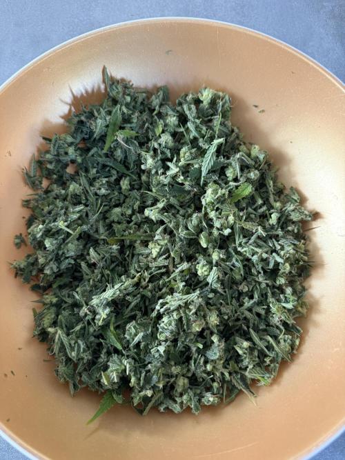 Thiny. Week 12