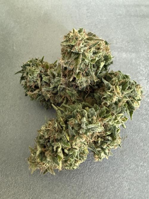 Thiny. Week 12