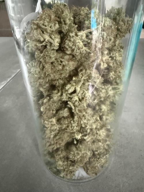 Thiny. Week 12