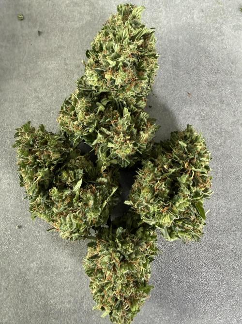 Psychedelic. Week 12