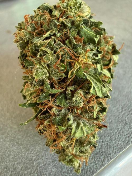 Psychedelic. Week 12