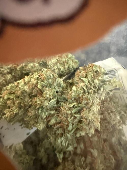 LSD Auto. Week 12