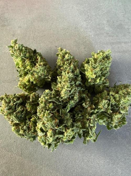 Fume-Pop. Week 11