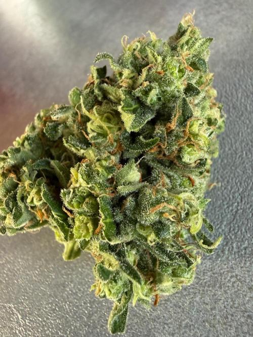 Fume-Pop. Week 11