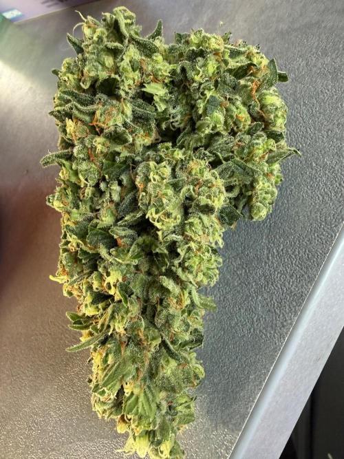 Fume-Pop. Week 11